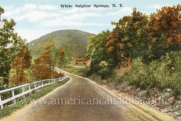 Well-known photographer Otto Hillig of Liberty, New York published this vintage postcard titled “White Sulpher Springs, N.Y.”
