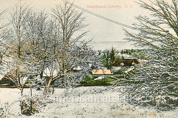 Vintage postcard published by photographer Otto Hillig that depicts the wintery landscape of Liberty, New York.