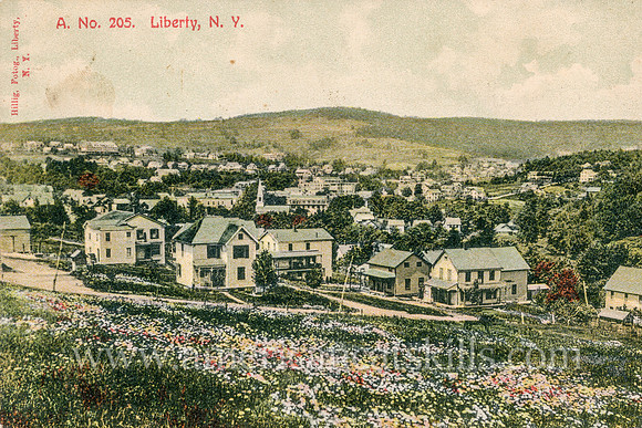 Vintage postcard from photographer Otto Hillig depicting the village of Liberty in Sullivan County, New York and the surrounding countryside.