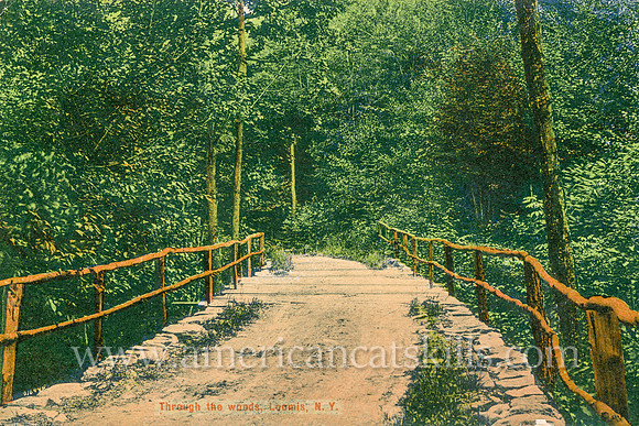Otto Hillig published this vintage postcard showing a peaceful country lane at Loomis, New York.