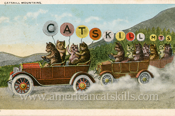 Vintage Catskills postcard that shows two cars full of cats as they drive along a dirt country road with balloons that advertise that they are headed for the Catskill Mountains.