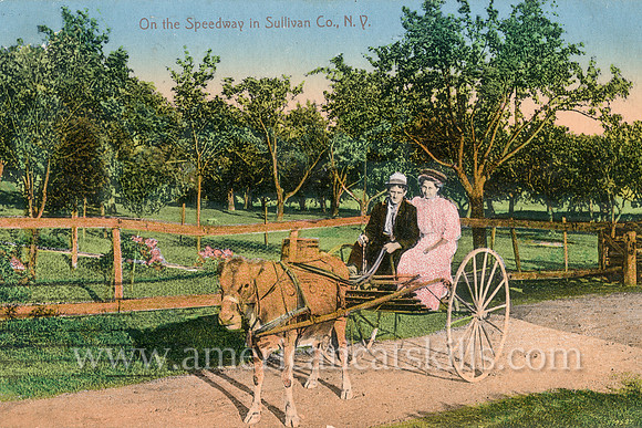Vintage postcard from photographer Otto Hillig depicting a well-dressed couple out for a ride in their cow-pulled carriage.