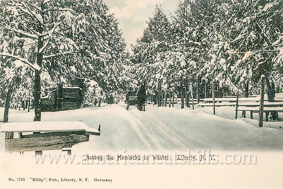 Vintage postcard by well-known photographer Otto Hillig titled “Among the Hemlocks in Winter. Liberty, N.Y.”