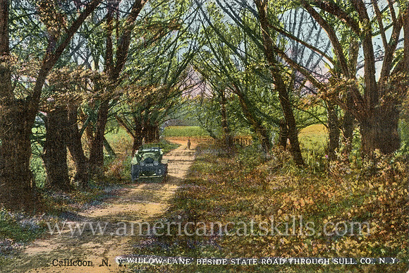 Well-known photographer Otto Hillig of Liberty, New York published this vintage postcard depicting a dirt country road near Callicoon in Sullivan County, New York.