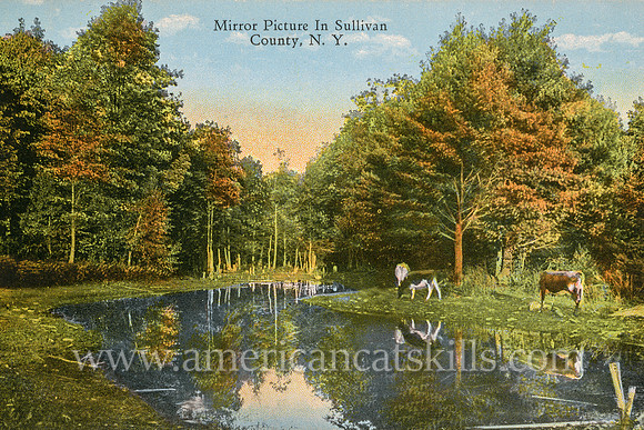 Trees, cows and blue skies are reflected in a calm lake in this beautiful postcard titled “Mirror Picture In Sullivan County, N.Y.” by photographer Otto Hillig.