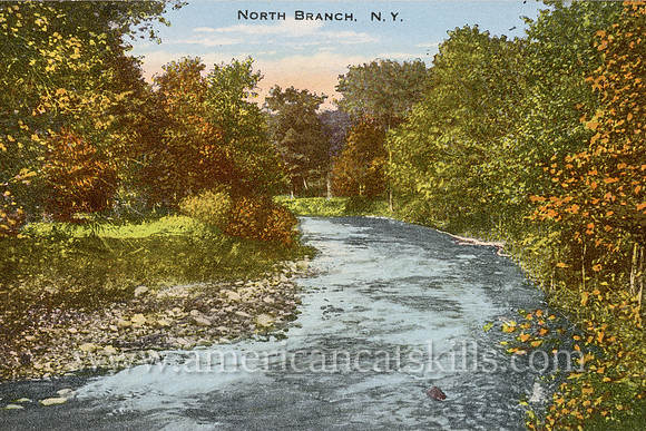 Vintage postcard from photographer Otto Hillig that shows a beautiful river scene at the hamlet of North Branch in Sullivan County, New York.