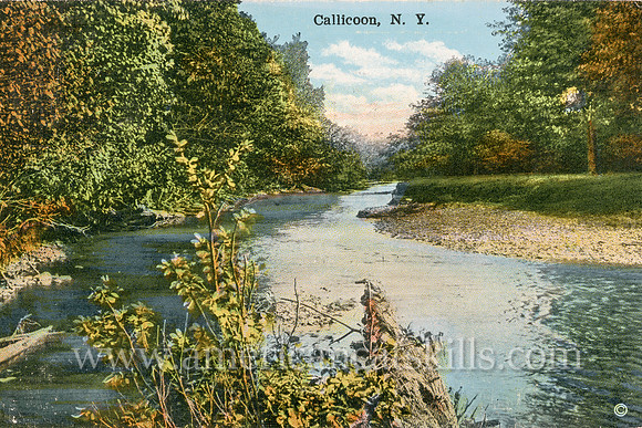 This peaceful river scene at Callicoon in Sullivan County, New York was captured by famous photographer and adventurer Otto Hillig of Liberty, New York.