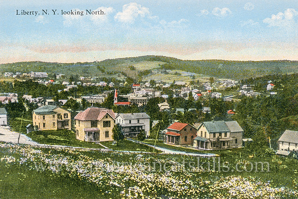 Vintage postcard by Otto Hillig depicting the scenic village of Liberty in Sullivan County, New York.