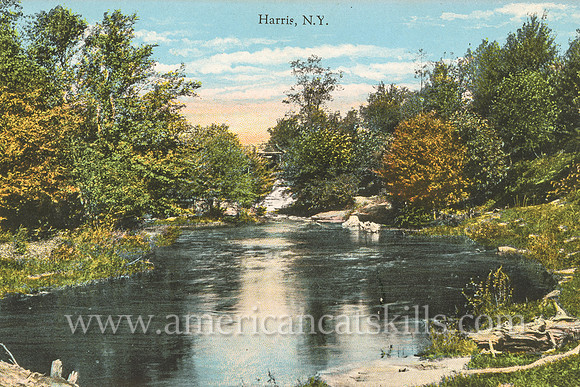 Vintage postcard from photographer Otto Hillig of a beautiful river scene at the hamlet of Harris in Sullivan County, New York.