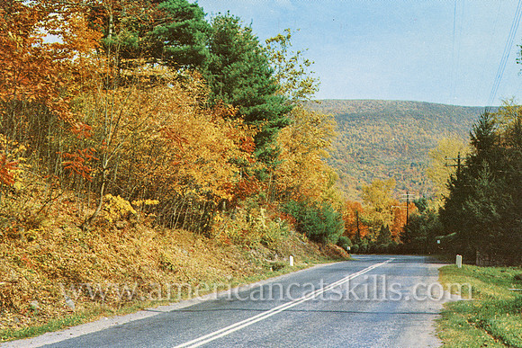 Vintage postcard by photographer Bob Wyer of the Onteora Trail (Route 28) as it enters the hamlet of Phoenicia in Ulster County, New York.