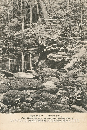 This vintage Catskills postcard by George S. Young depicts a peaceful section of creek known as Mossy Brook in what was historically known as the Grand Canyon, but is today generally referred to as Pl