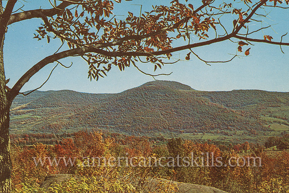 Vintage postcard depicting the view from Boyhood Rock, the grave site of famed author and naturalist John Burroughs; located at the John Burroughs Memorial State Historic Site at Roxbury in Delaware C