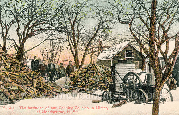 Vintage postcard titled "The business of our Country Cousins in Winter, at Woodbourne, N. Y."