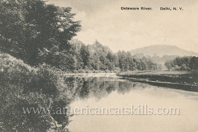 Vintage postcard depicting a scenic spot along the Delaware River in Delhi, New York published by the partnership of Merrill & Humphries.