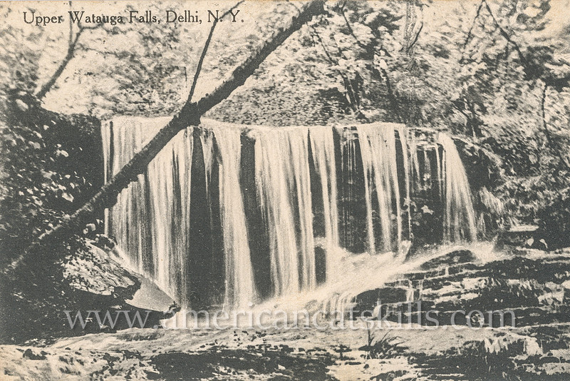 Vintage postcard published by the partnership of Merrill & Humphries of Watauga Falls at Delhi in Delaware County, New York.
