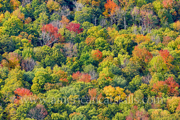 Rich fall colors of the autumn season can be seen throughout Kaaterskill Clove in the northern Catskills.