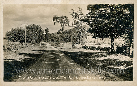 On the road near Lexington, N. Y.