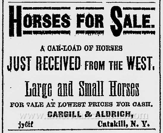 Cargill & Aldrich