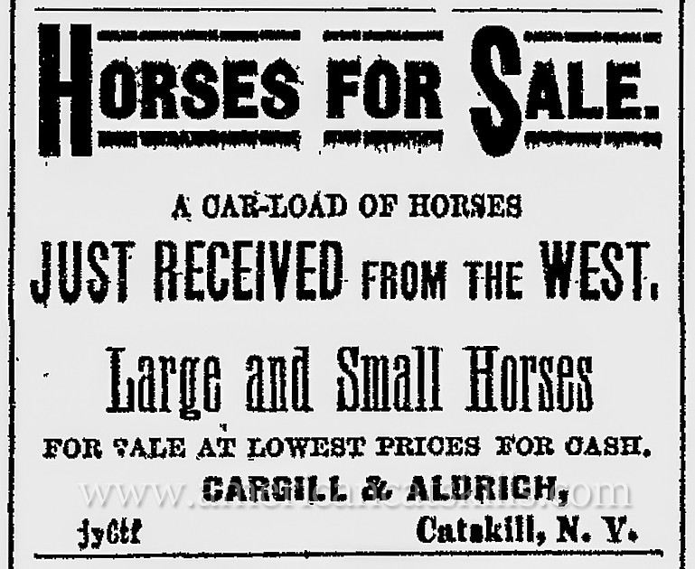 Cargill & Aldrich