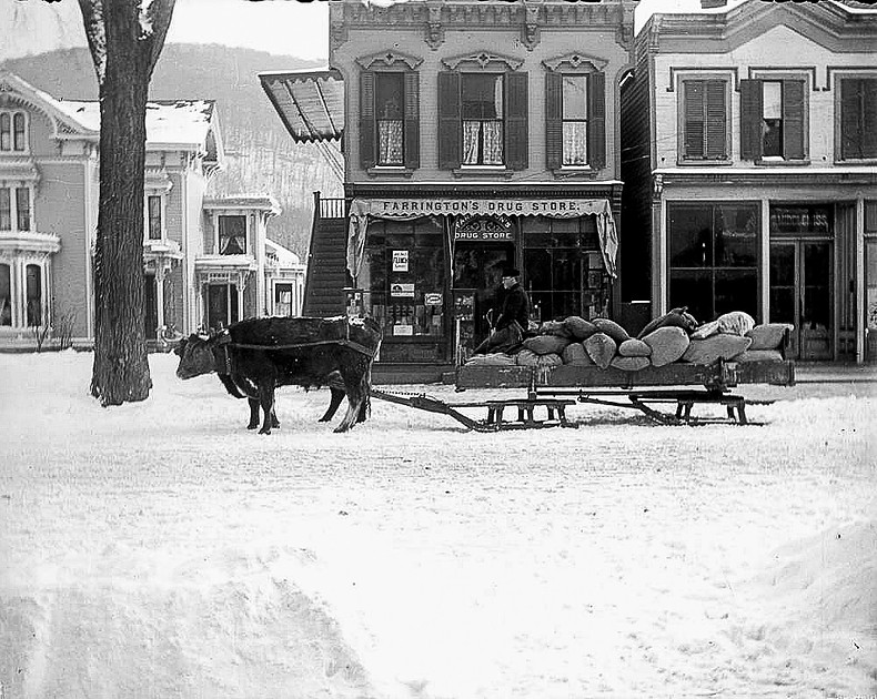 Farrington Drug Store, Main Street, Delhi, New York.