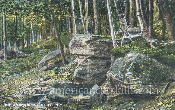 Vintage postcard titled “Indian Spring in Sull. Co., N.Y.” by photographer Otto Hillig.