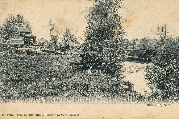 Photographer Otto Hillig published this country scene at Bushville, New York.