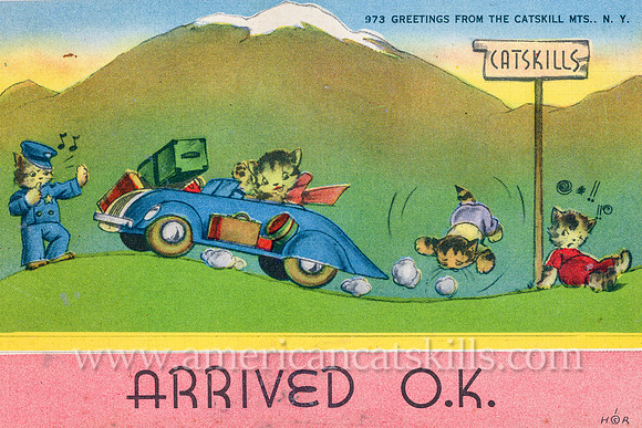 Vintage postcard by George Greenberg & Son titled “Arrived O.K.” and “Greetings from the Catskills” that depict a cat family in a car following a sign toward the Catskills.