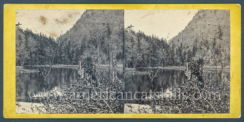 Vintage E. & H. T. Anthony & Co. stereoview # 9070 titled “South Lake and Stony Clove Notch” from “The Glens of the Catskills” series.
