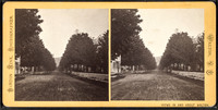 North Street, looking north from Fitch Street. Burton Hine, photographer
