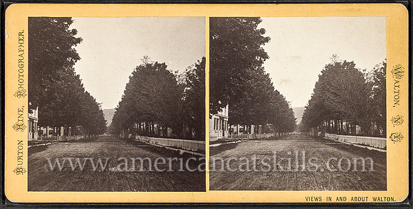 North Street, looking north from Fitch Street. Burton Hine, photographer
