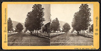 North Street, looking south from Fitch Street. Burton Hine, photographer.