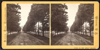 "Townsend Street, looking north." Burton Hine, photographer