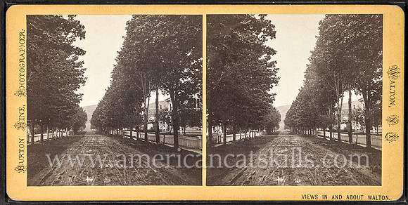 "Townsend Street, looking north." Burton Hine, photographer