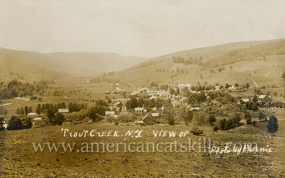 Vintage photograph titled "View of Trout Creek, N. Y." published by photographer Thomas Phoenix.