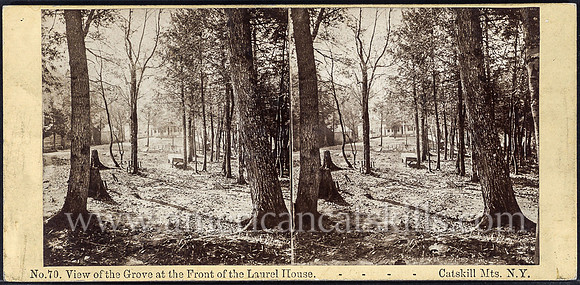 Henry S. Fifield was a well-known photographer most associated with his work at The Flume in the White Mountains of New Hampshire.