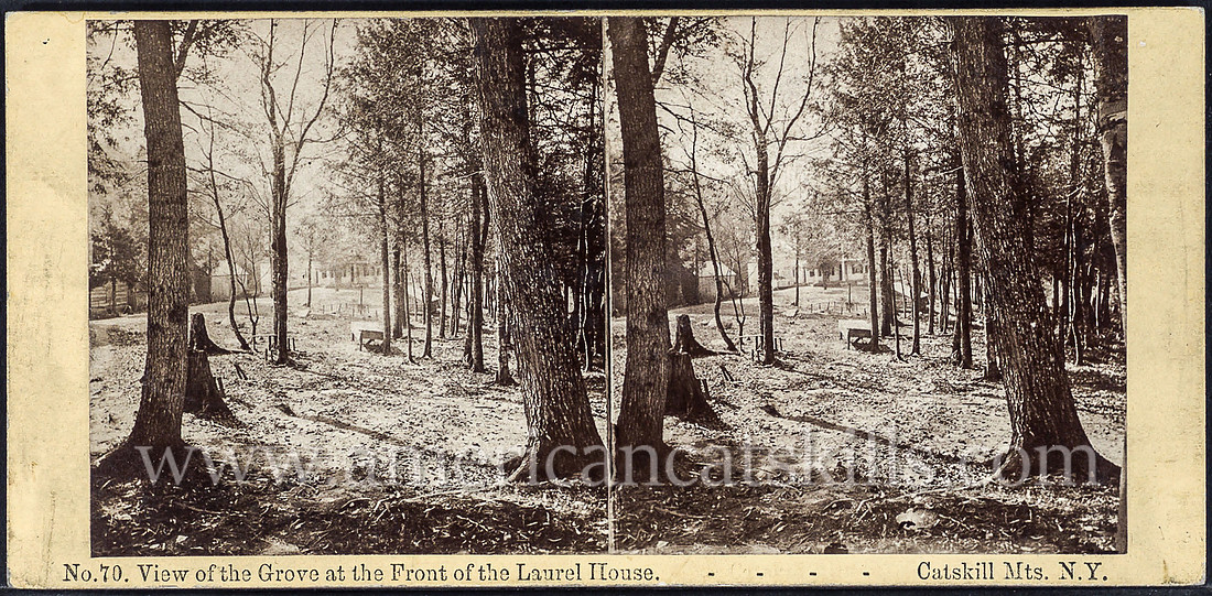 Henry S. Fifield was a well-known photographer most associated with his work at The Flume in the White Mountains of New Hampshire.