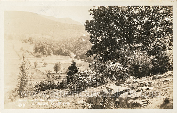 Vintage photograph by Louis E. Jones titled "Junetime in the Catskills."