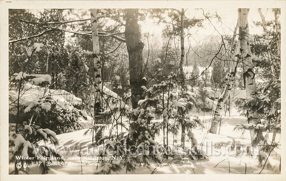Vintage photograph by Louis E. Jones titled "Winter Fairyland, near Kingston, N.Y."