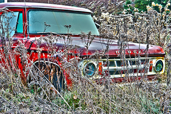 Old Truck on Route 42
