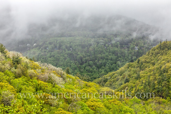 Scenic photograph of springtime in Kaaterskill Clove in the northern Catskills.