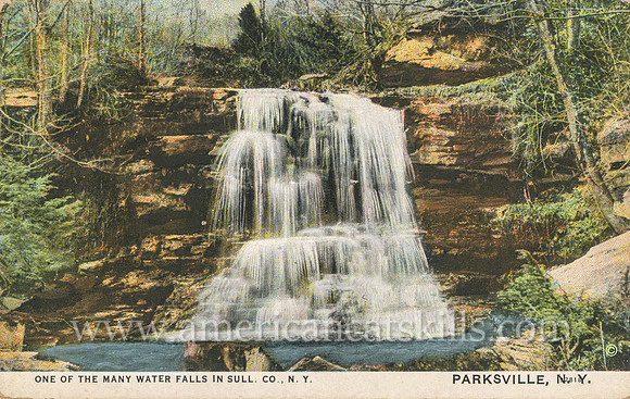 Vintage photograph by Otto Hillig titled “One of the Many Waterfalls in Sull. Co., N.Y. Parksville, N.Y.”