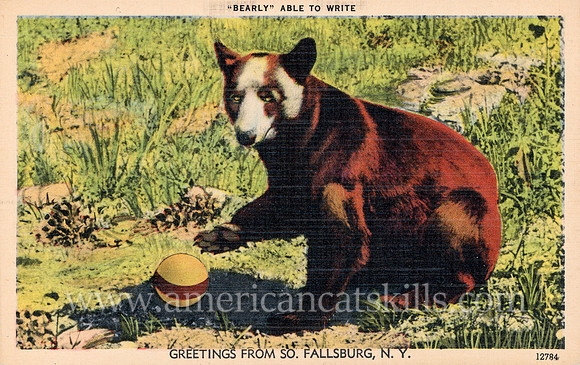 Bearly Able to Write, Greetings from South Fallsburg, N. Y.
