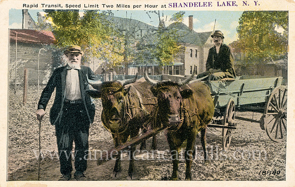 Vintage postcard titled "Rapid Transit, Speed Limit Two Miles per Hour at Shandelee Lake, N. Y."