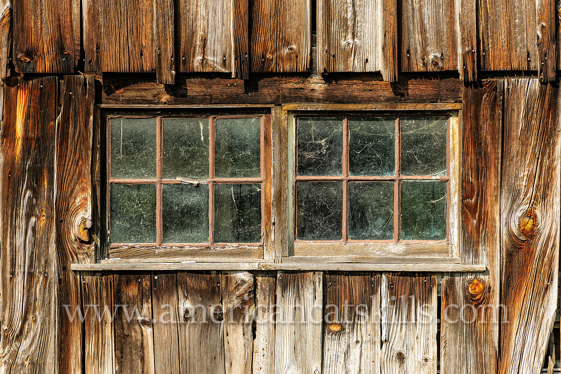 Photographs and history of the Gideon Frisbee House, now home to the Delaware County Historical Association in Delhi, New York.