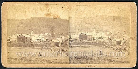 Stereoview titled "View looking N. W. from Shaw's lane" published by Charles Carman of Andes, New York.