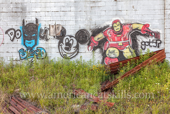 Photograph of the abandoned Apollo Mall in the southern Catskills in the village of Monticello, Sullivan County, New York.