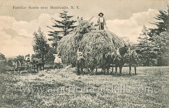 Familiar Scene near Monticello, N. Y.