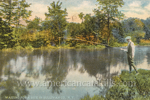 Vintage Otto Hillig postcard depicting a finely dressed young man fishing on a river in Sullivan County, New York.