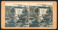 Vintage stereoview by Otto Hillig titled “Stevensville, N.Y.” depicting a scenic waterfall.