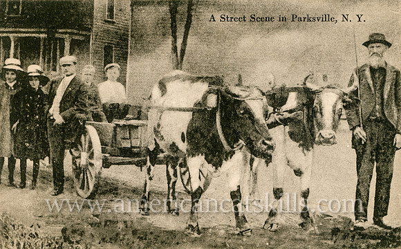 Vintage postcard titled "A Street Scene in Parksville, N. Y."